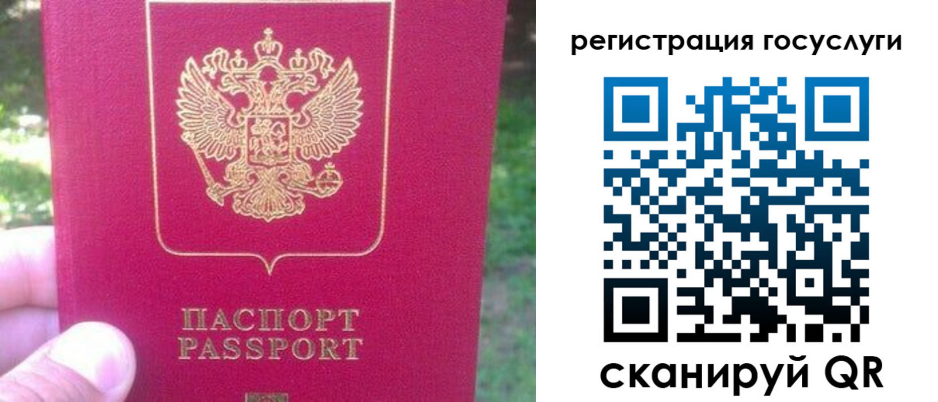 временная прописка в Асино